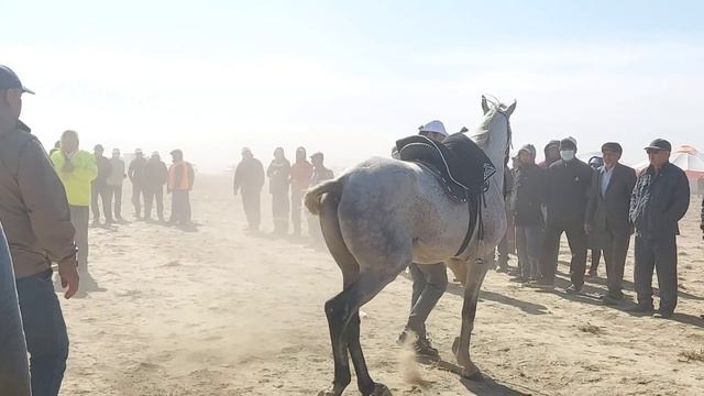 Текей Ата ұрпақтарының әнұраны