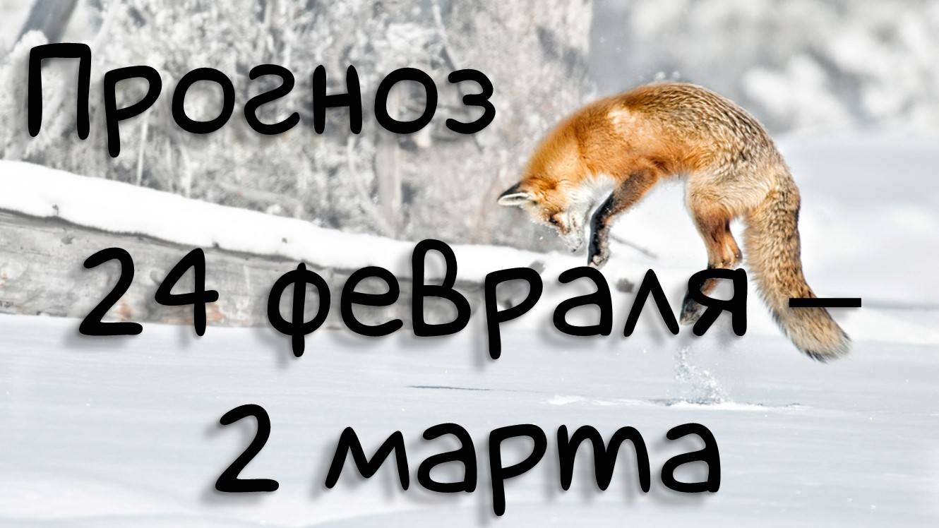 ГОРОСКОП НА НЕДЕЛЮ 24 февраля - 2 марта 2025. Новолуние в Рыбах, статичные Венера и Марс.