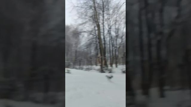 VID-20250221-WA0019