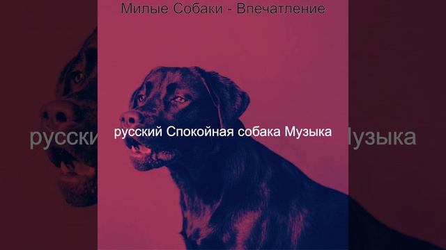 Настроения (Спокойные собаки)