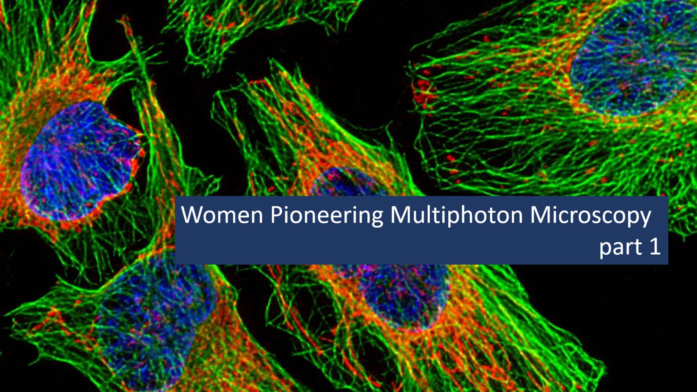 Women Pioneering Multiphoton Microscopy part1