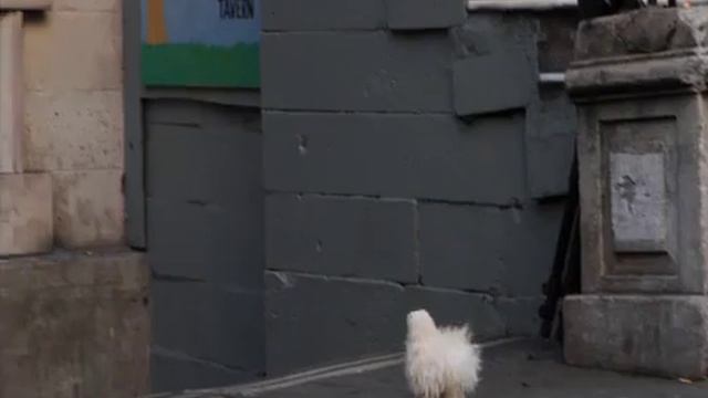 Alpaca - Song for Sebastian