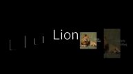 L for Lion