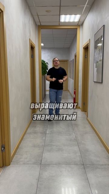 Какой вулканический кофе лучше?