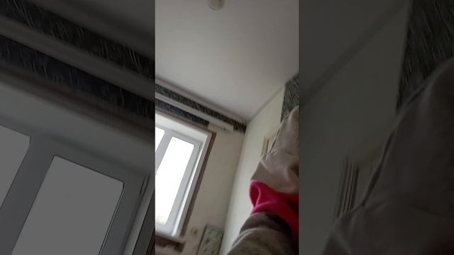 гимнастика, ремонт