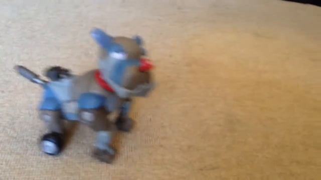 Mini Wrex the Dawg limbo