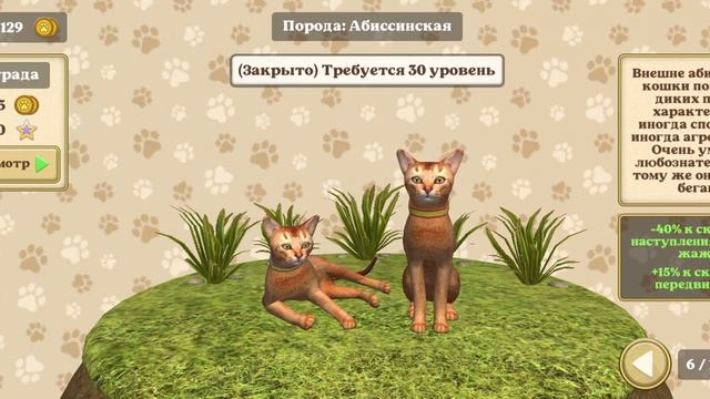 ЧИТАЕМ ПРО АБИССИНСКУЮ КОШКУ♥️