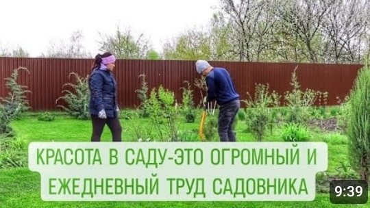 ВОТ ТАК И СОЗДАЁТСЯ КАЖДЫЙ МЕТР 🌲МОЖЖЕВЕЛОВОГО САДА🌲. 18.04.2024г. БЕЛАРУСЬ, ГОМЕЛЬСКАЯ ОБЛАСТЬ