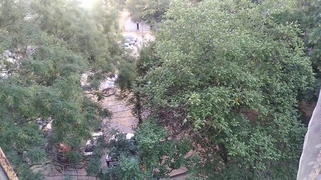 ЗАПОРОЖЬЕ МАСШТАБНАЯ ЛЮДИ ЗВЕРЕЮТ СДАДУТ И ГЛАЗОМ НЕ МОРГНУТ 08.08.24