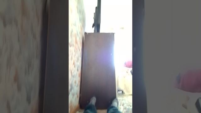 милый котик