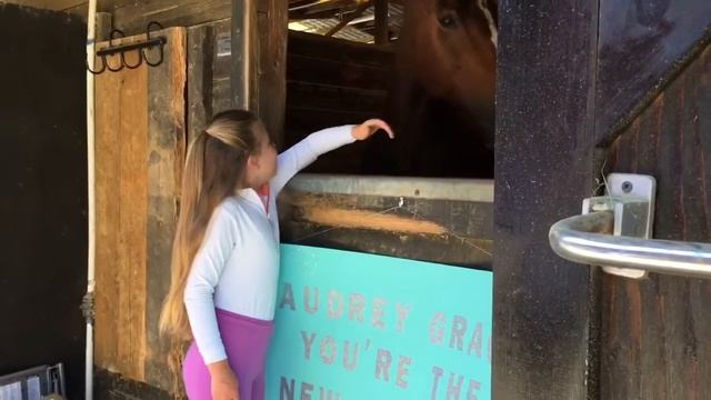 Audrey Grace is surprised with a horse!!