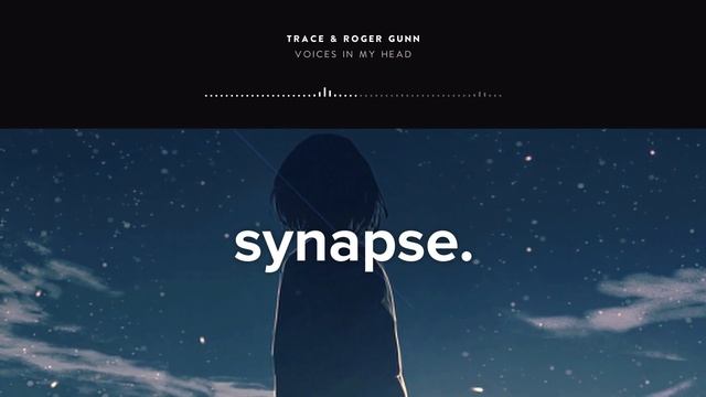 Trace & Roger Gunn - Voices In My Head