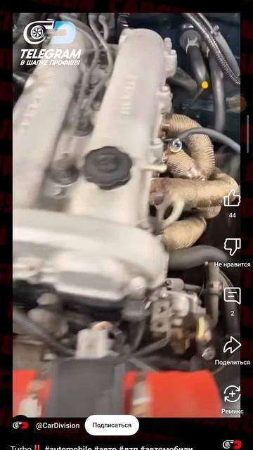 1000080659.mp4