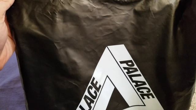 2 Palace Skateboards Side Classic TRI-FERG Tees + Try-On Body Fit!