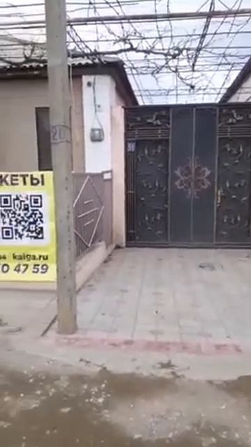 Дагестан пчелопакет. Купить пчелопакет Дагестан