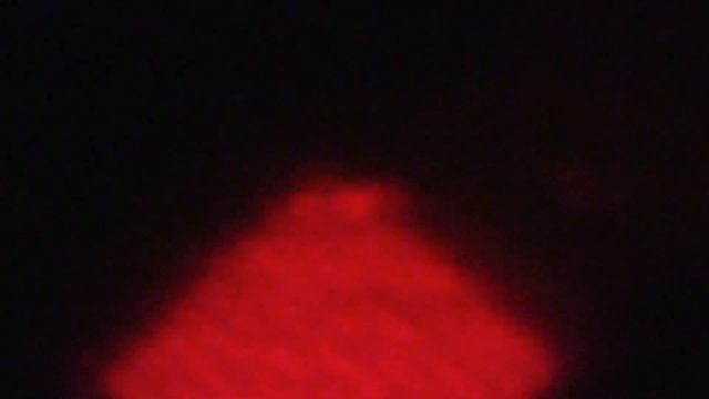 RED LIGHT Coyote TRIPLE - Coyote Bait Site Success