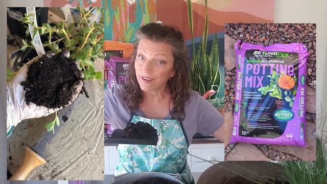 How to Refresh a Summer Garden Container