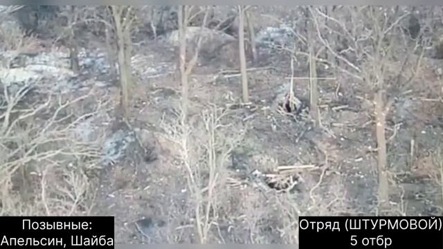 video_2025-02-22_23-28-56