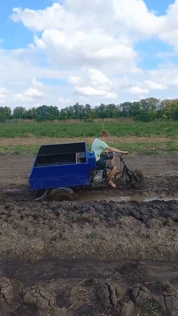 муравей 250сс в грязи