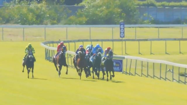 JASMINE - RACE 6 Hollywoodbets #durbanville  07 September 2022
