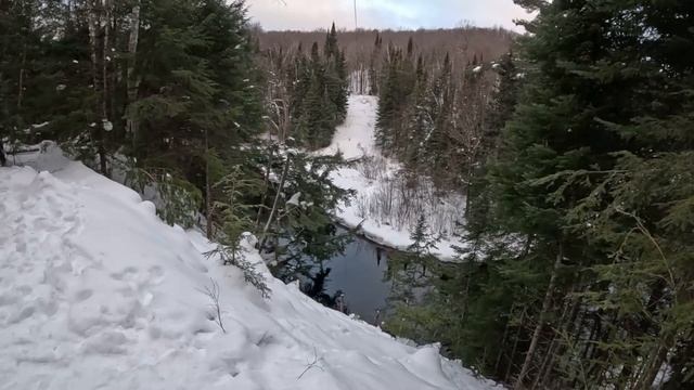 Лесная заснеженная река. Шикарный сосновый лес. Величие природы.