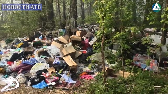 Ликвидация несанкционированной свалки