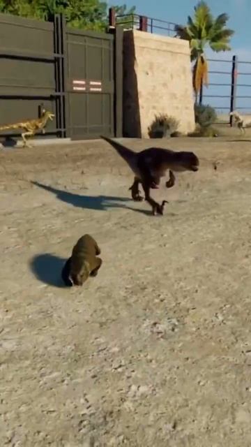 Atrociraptor Kills a Lystrosaurus - Jurassic World Evolution 2