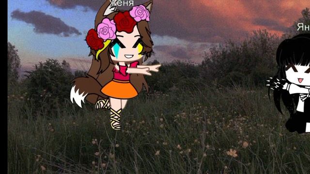 я увидела эту прекрасную кошку