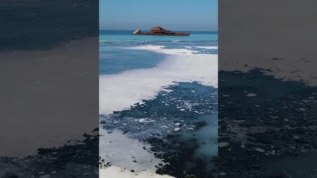 Вода в море поменяла цвет из-за нереста селедки на Сахалине. Автор видео - Олег Бутыгин
