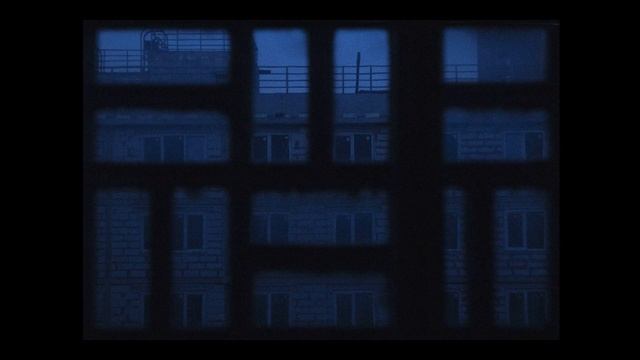 Дом Моделей - Анатомический театр птиц