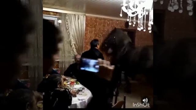 цыганские лошади