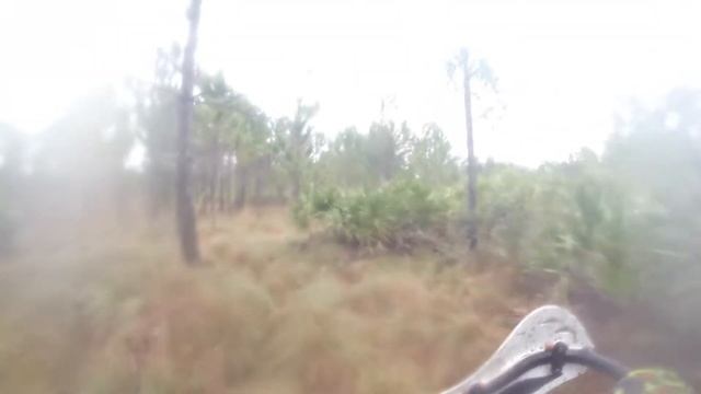 Alligator Enduro Vet B