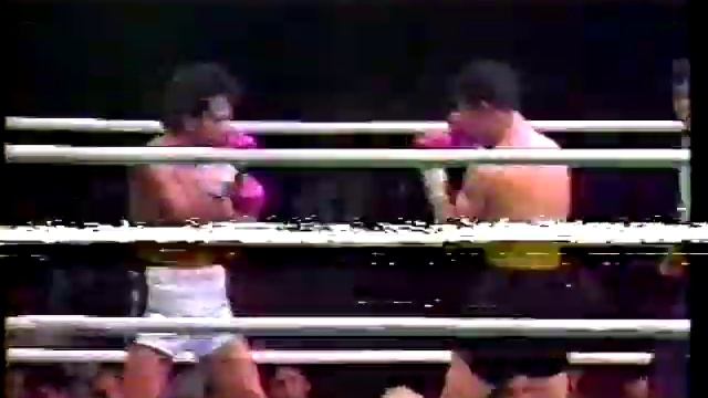JOSE LUIS AVILA BOX