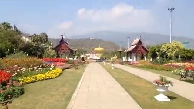 Chiang Mai Flower Park Thailand 1