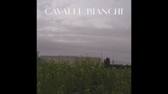 PAACE 2000 - CAVALLI BIANCHI (PROD. BLUE JEANS)