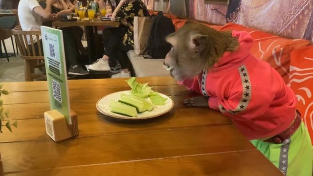 Заехали в рестик на обед