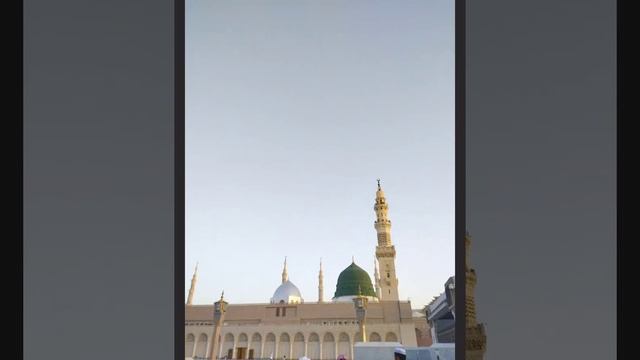 Malfoz Mubarak by Hazrat Mulana Dr Shah Jalil Ahmed Akhoon DBA Paltu bili palna kaisa hai (cat)