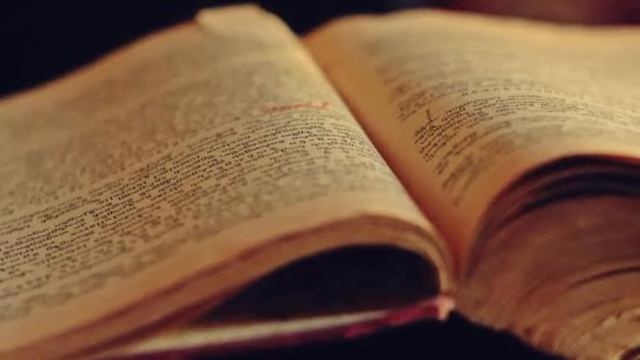 घरात असा वास आला की समजा घरात साप आला |महाराष्ट्रातील विषारी,बिनविषारी साप|#साप #माहिती|sap,snake
