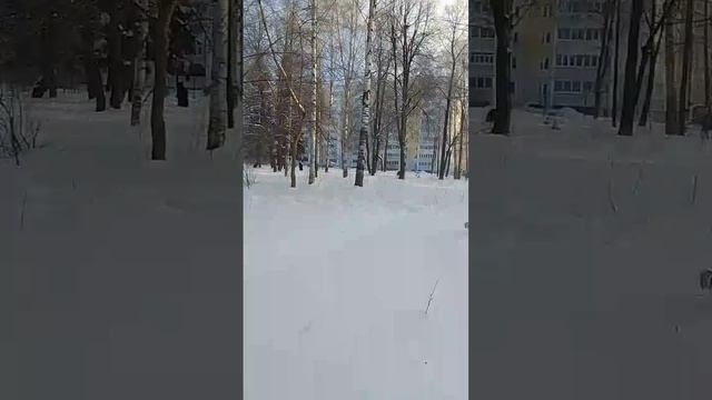 VID-20250222-WA0028