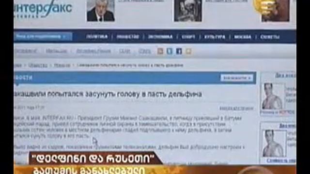 "Дельфины и Россия"