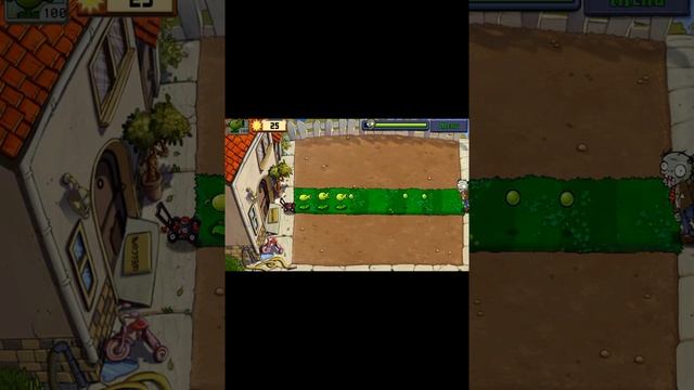 11 июня 2024 г.