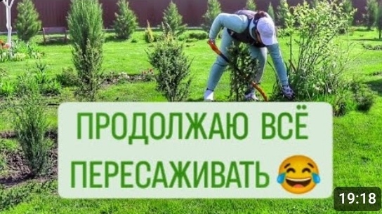 ПРОДОЛЖАЮ ВСЁ ПЕРЕСАЖИВАТЬ. 20.04.2024г. БЕЛАРУСЬ, ГОМЕЛЬСКАЯ ОБЛАСТЬ