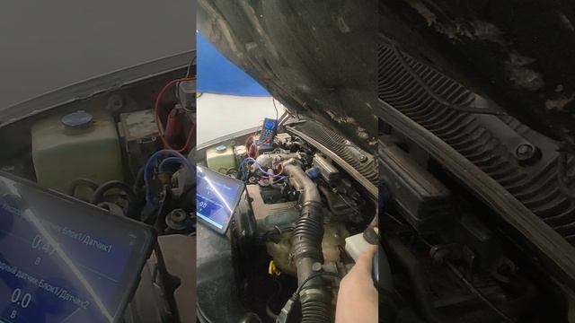 Kia Sportage 1 дёргается, повышенный расход! ошибки p0130, p0328.