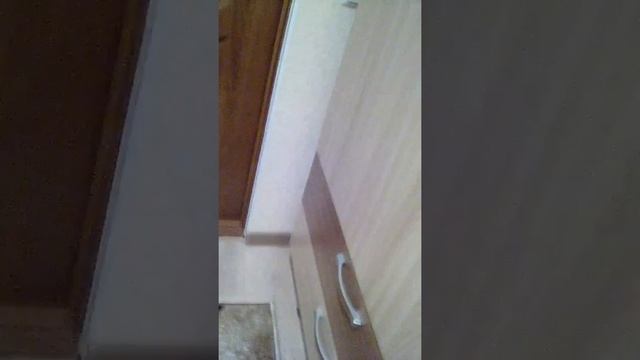 Мой Джунгарский хомячок Стёпа и обзор его клетки !!!