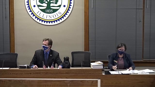 City Council & Committee of the Whole Meetings November 2, 2020 - City of Geneva, IL