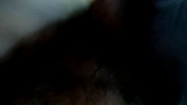 было не чего делать😑🐈