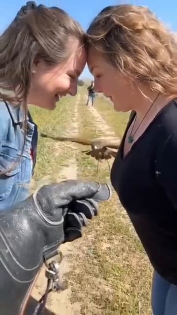 Красота и грация!