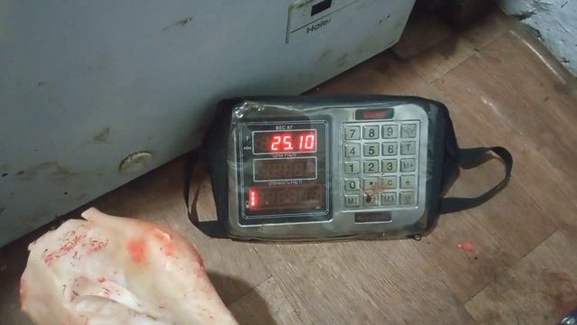 Соғым.Жабы жылқы.Құлангердің биылғы жабағысы.Еттің салмағы144.4 кг.