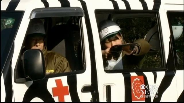 Tokyo zoo runs bizarre drill