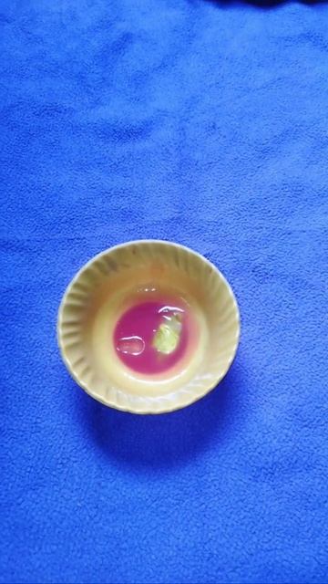 how make tomato gel at Home#short#trending#viral#short feed